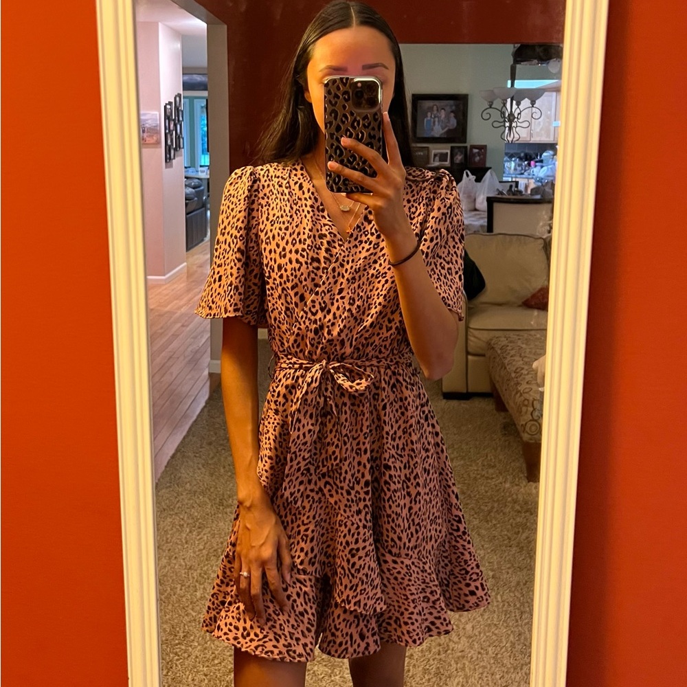 Francesca’s Dress